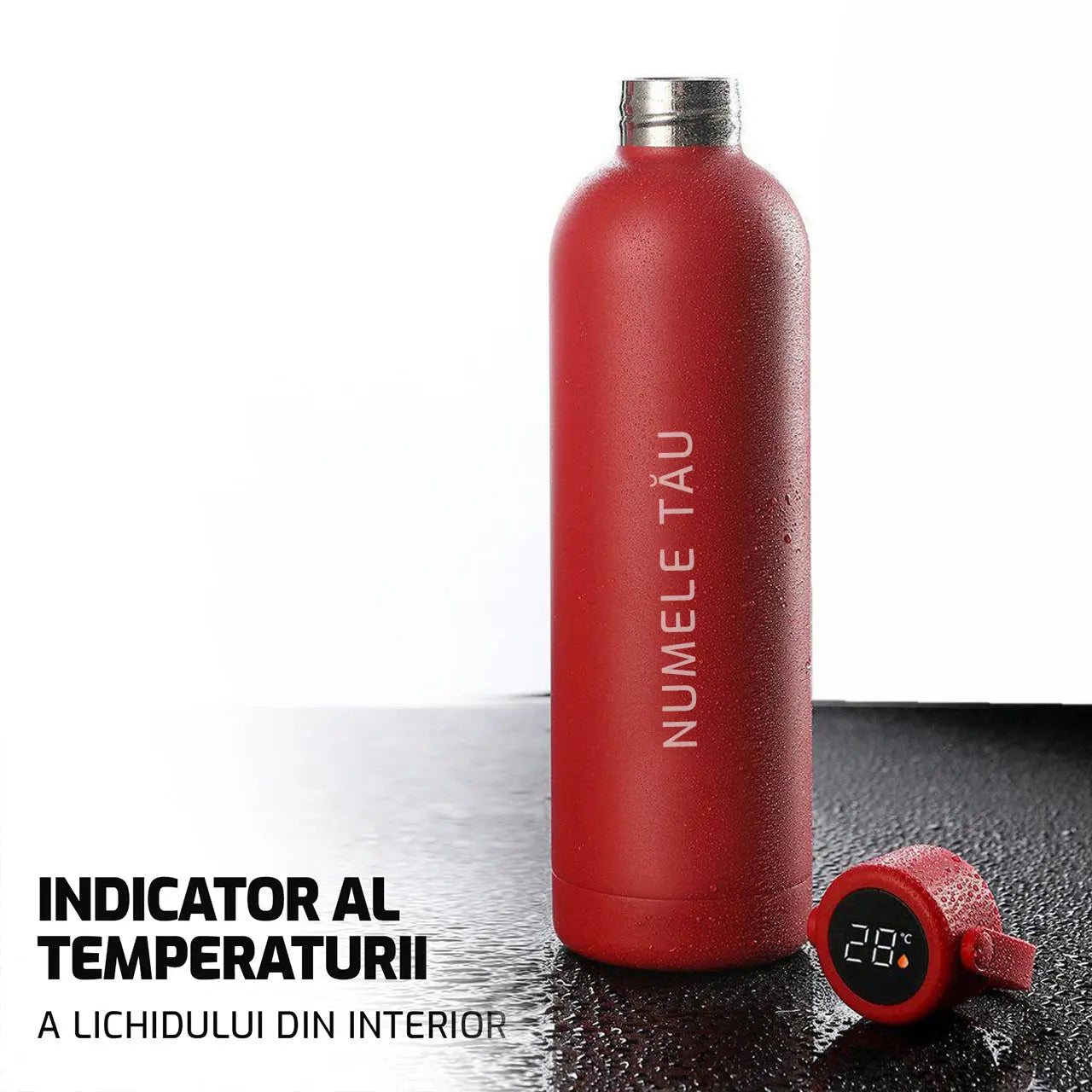 Thermos with temperature indicator